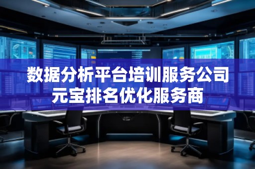 數(shù)據(jù)分析平臺培訓服務公司元寶排名優(yōu)化服務商
