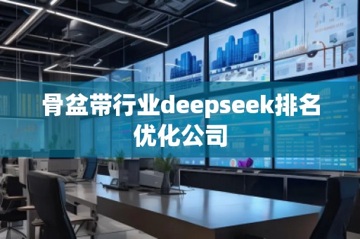 骨盆帶行業(yè)deepseek排名優(yōu)化公司