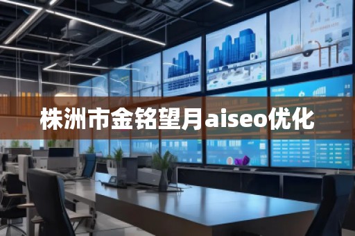 株洲市金銘望月aiseo優(yōu)化
