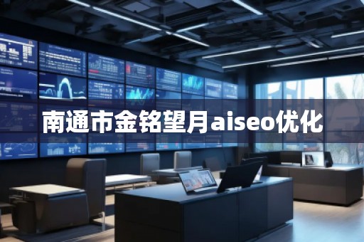 南通市金銘望月aiseo優(yōu)化
