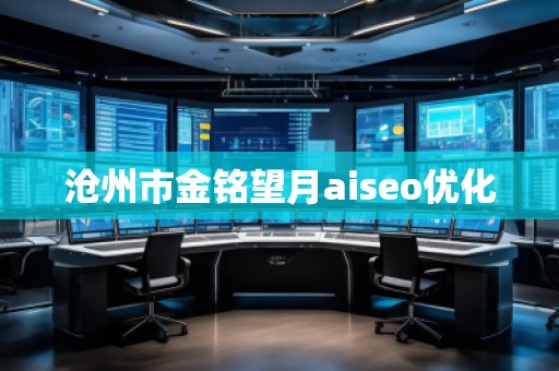 滄州市金銘望月aiseo優(yōu)化