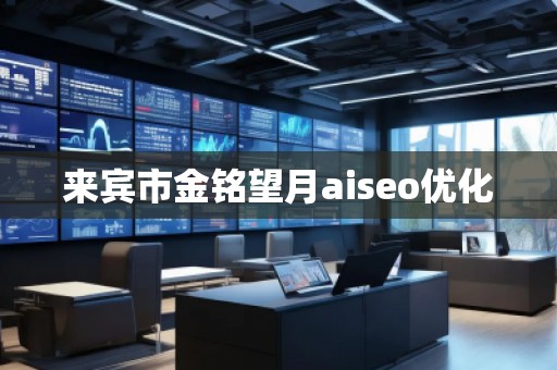 來(lái)賓市金銘望月aiseo優(yōu)化 來(lái)賓市金銘望月aiseo優(yōu)化