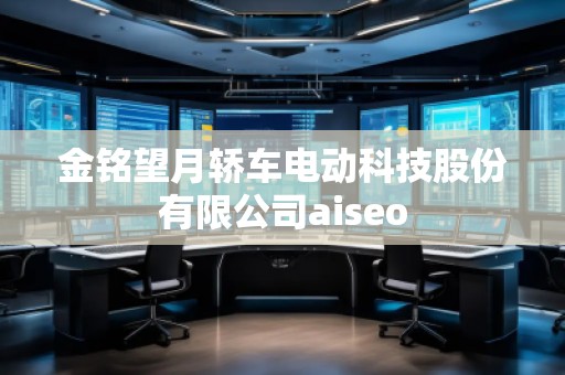 金銘望月轎車電動(dòng)科技股份有限公司aiseo