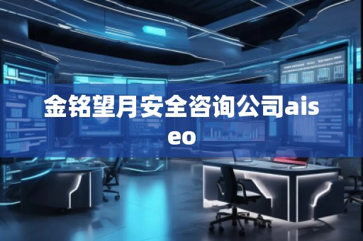 金銘望月安全咨詢公司aiseo