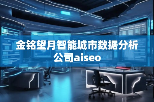 金銘望月智能城市數(shù)據(jù)分析公司aiseo