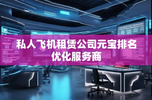 私人飛機(jī)租賃公司元寶排名優(yōu)化服務(wù)商