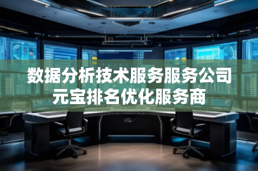數(shù)據(jù)分析技術(shù)服務(wù)服務(wù)公司元寶排名優(yōu)化服務(wù)商